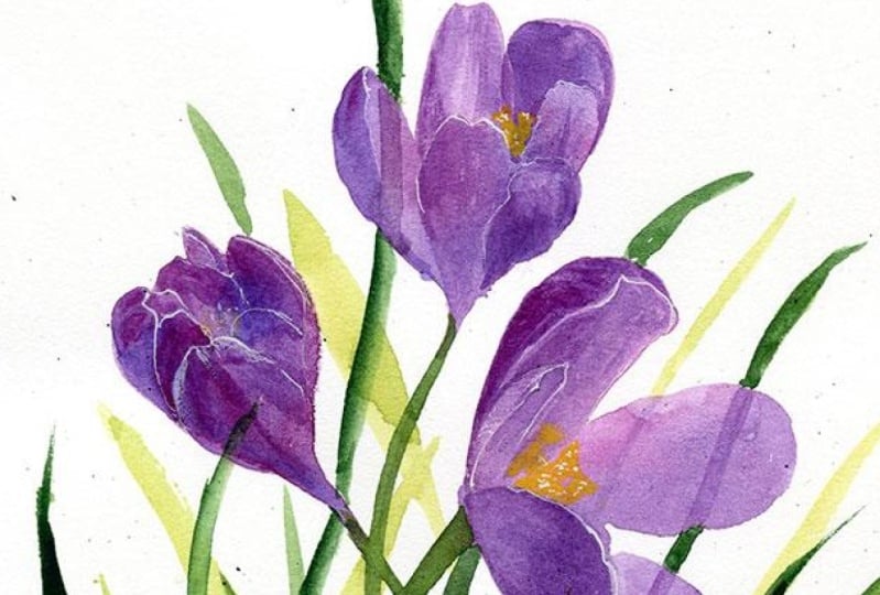 Spring Flowers in Light and Shadow