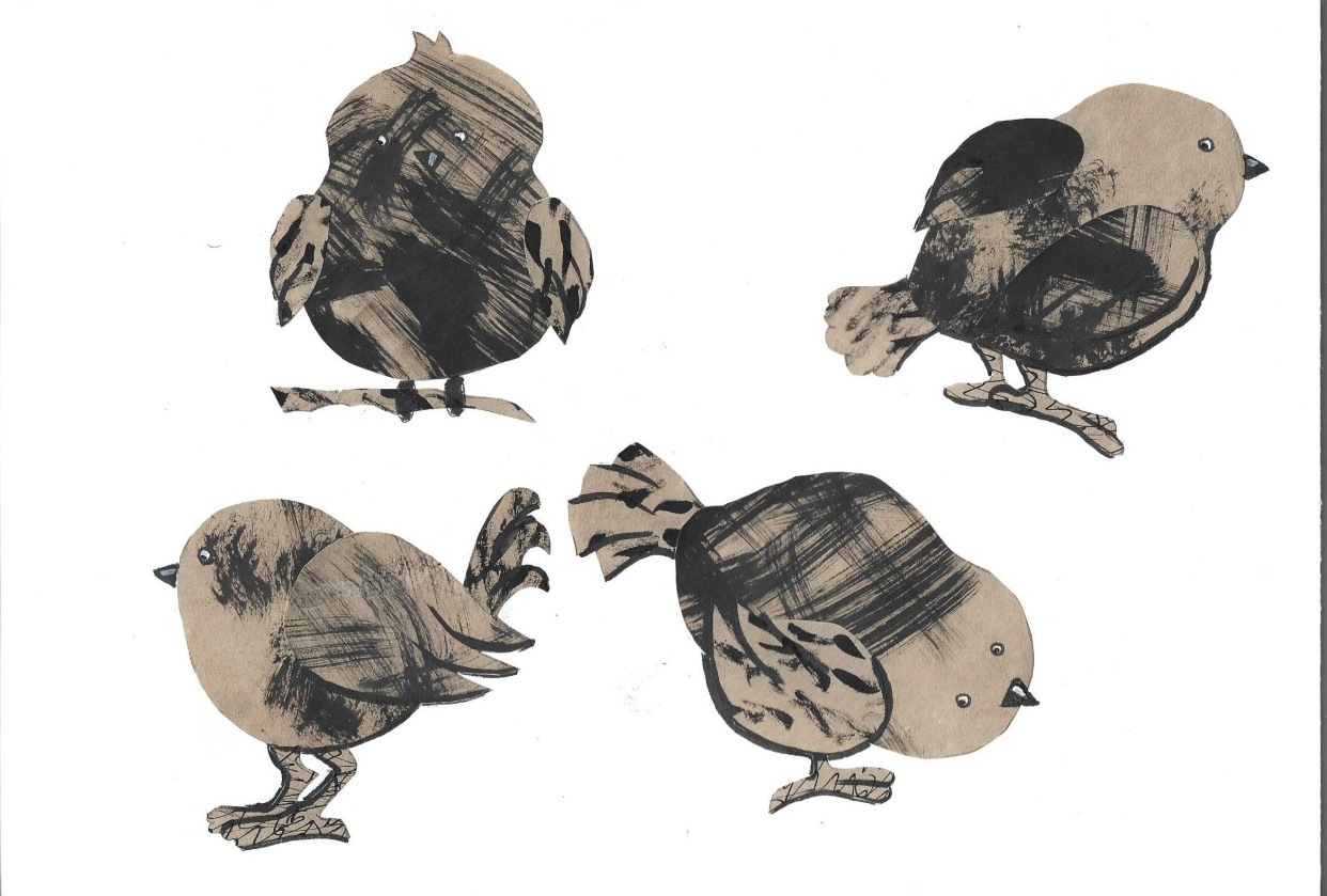 collage birds - student project