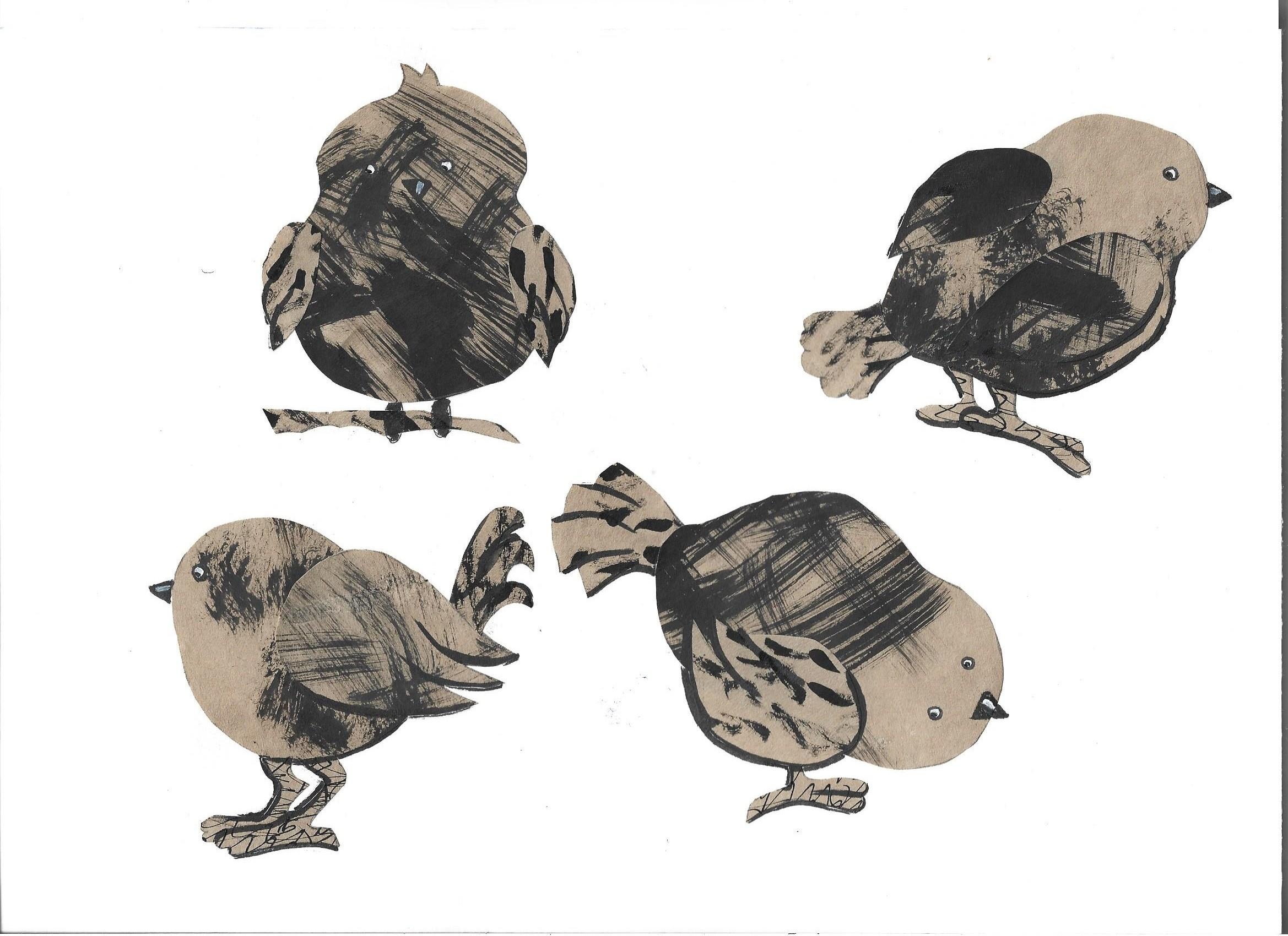collage birds - student project