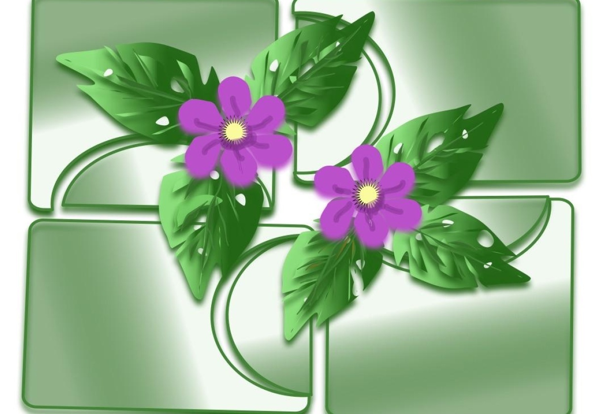 Vector Flower Practice - student project