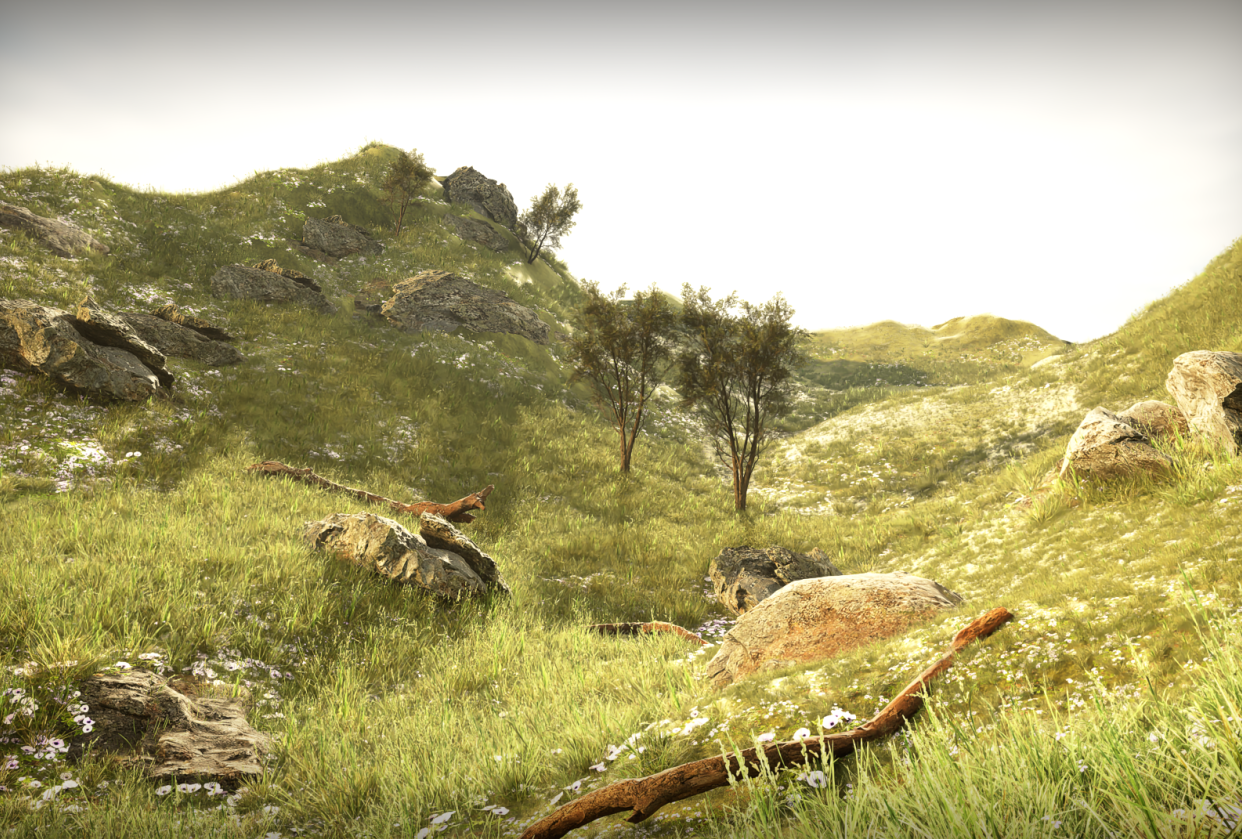 The Hill Forest - student project