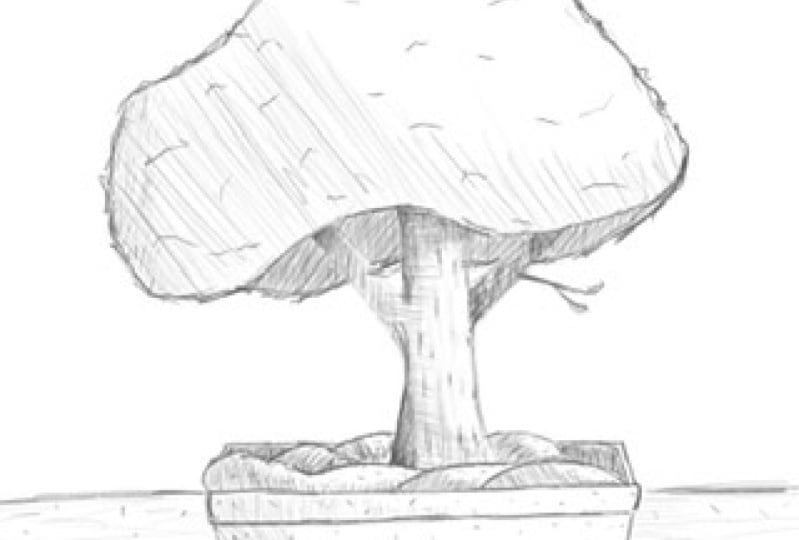 Drawing Bonsai Trees