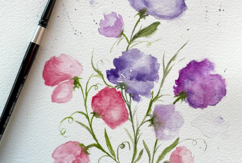 Sweet pea
