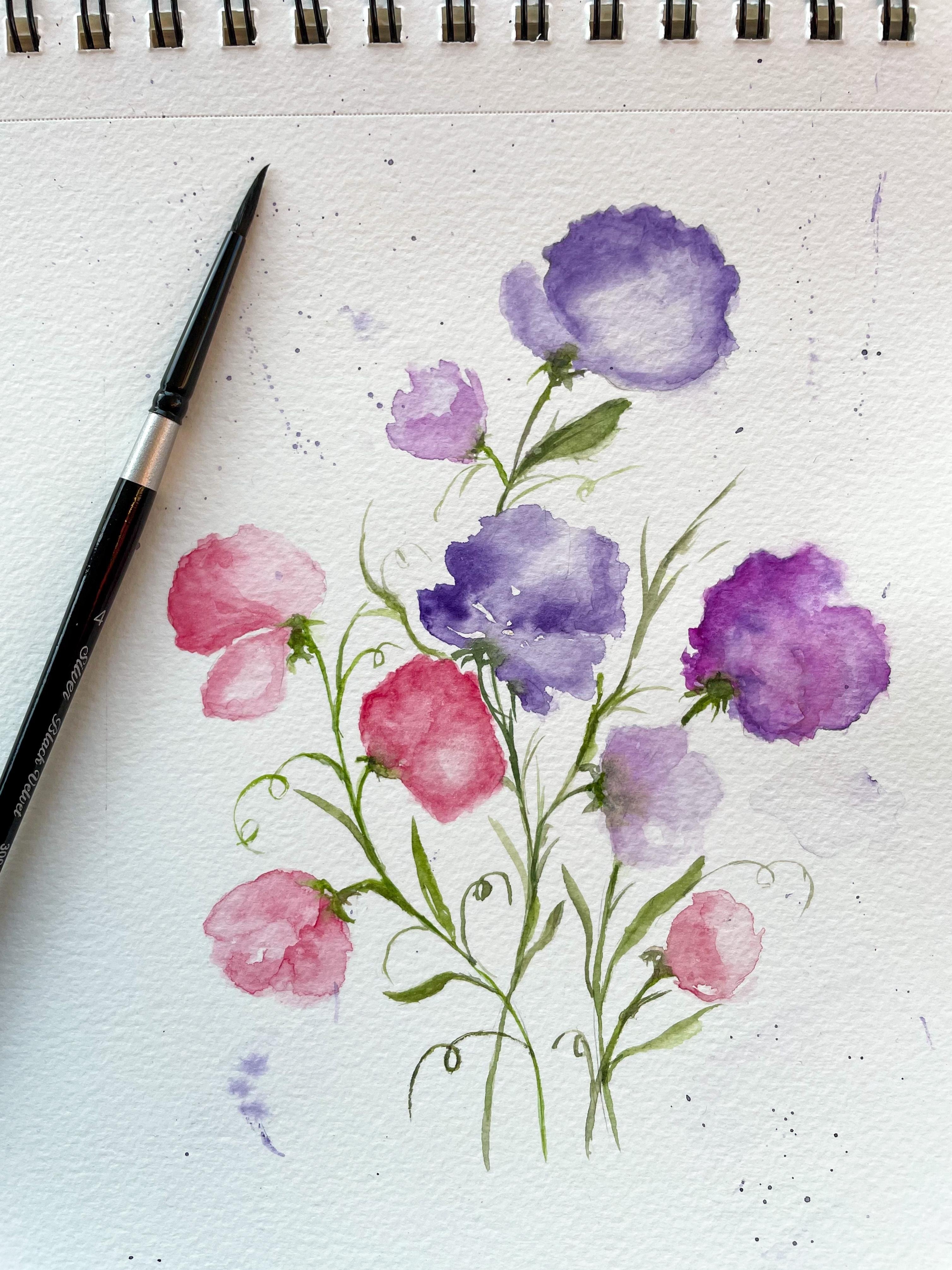 Sweet pea - student project