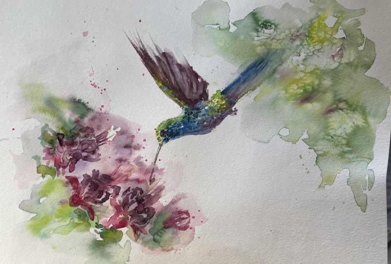 Hummingbird