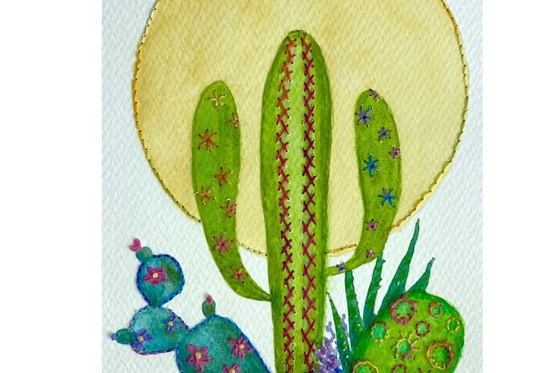 Cacti & Succulents