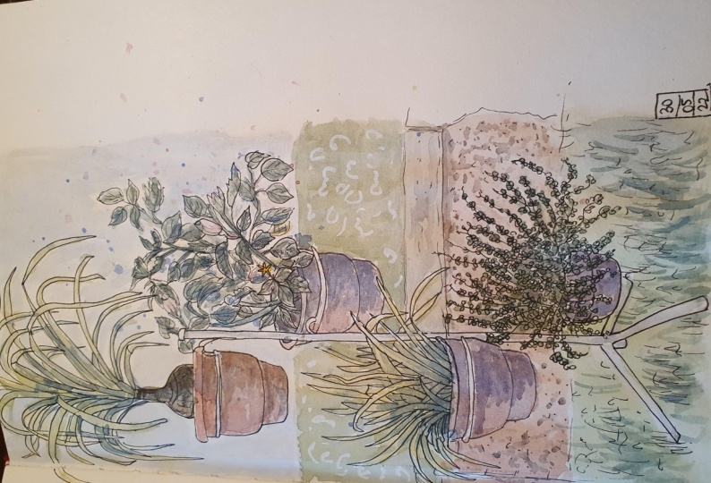Vertical plant pots