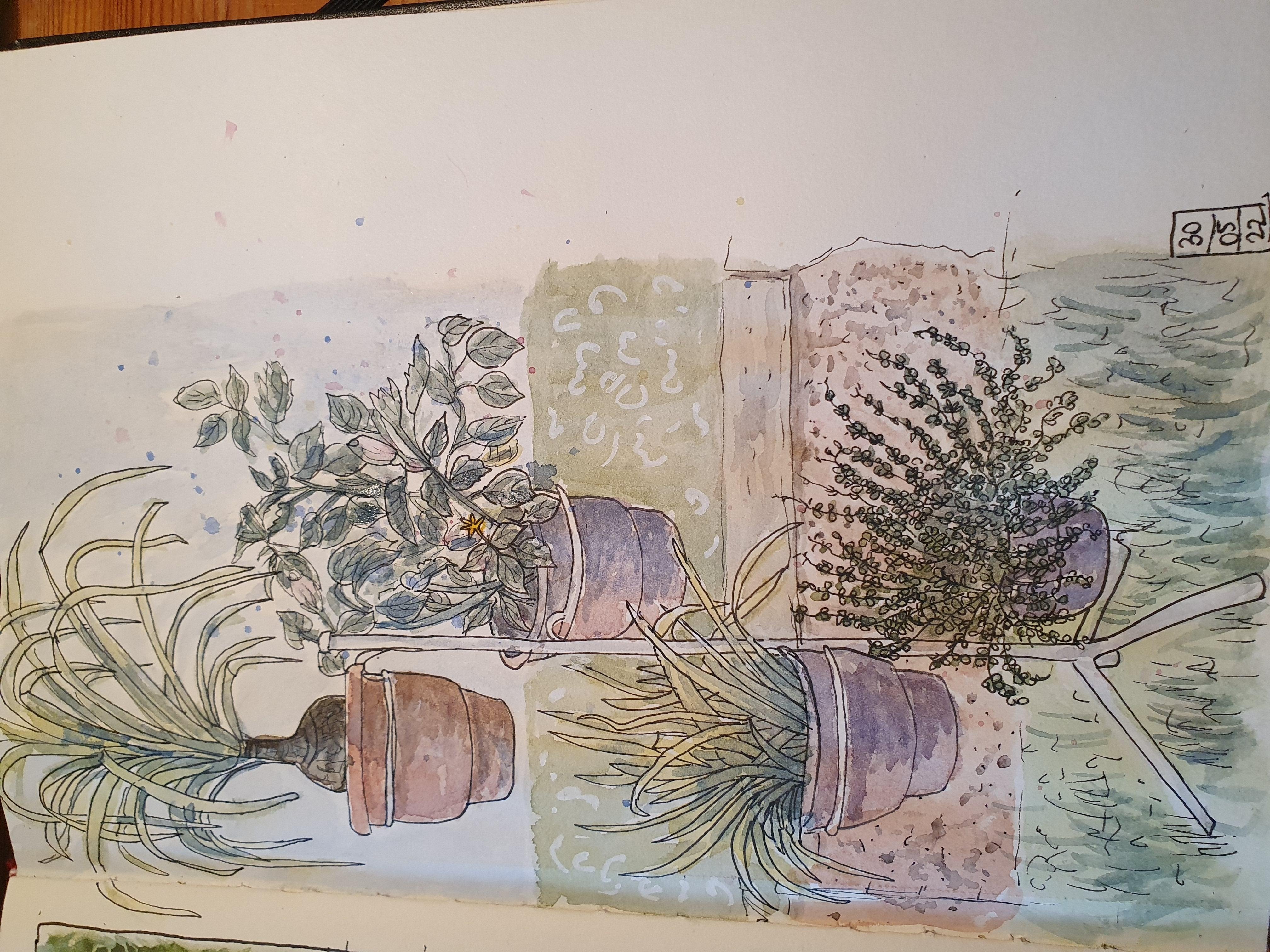 more-projects-from-class-img
