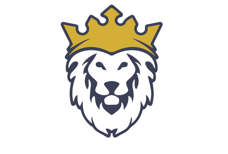 Logo Animation