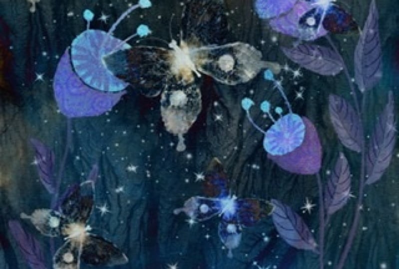 Mystical night forest