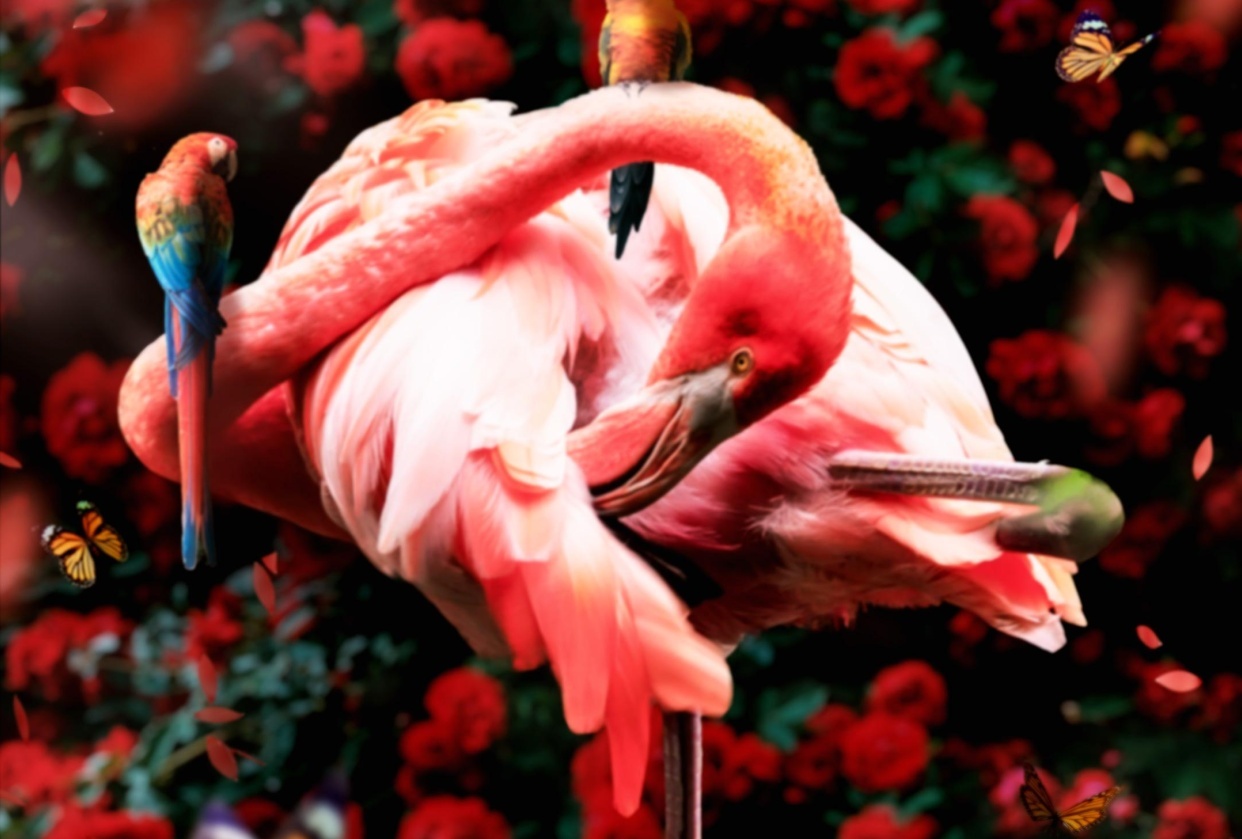 Flamingo Art - student project