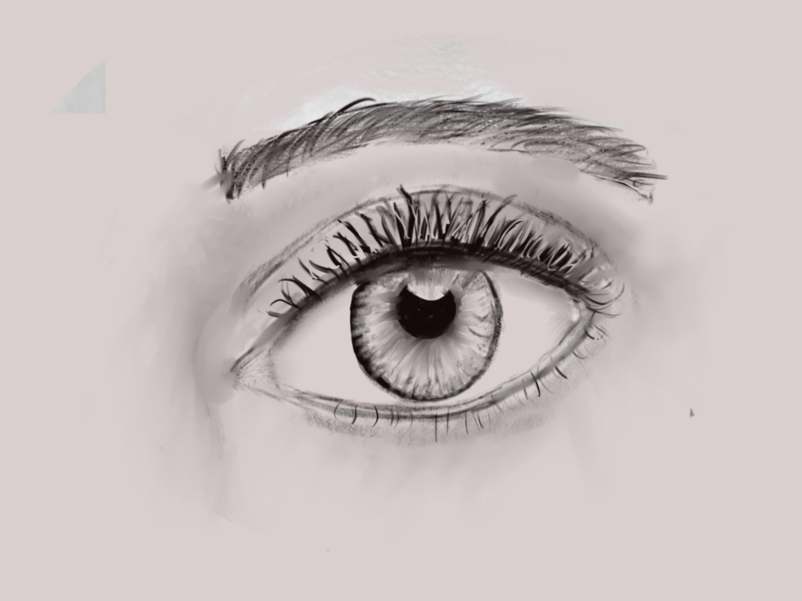 Eye using procreate - student project