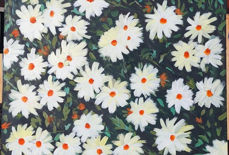 Daisies