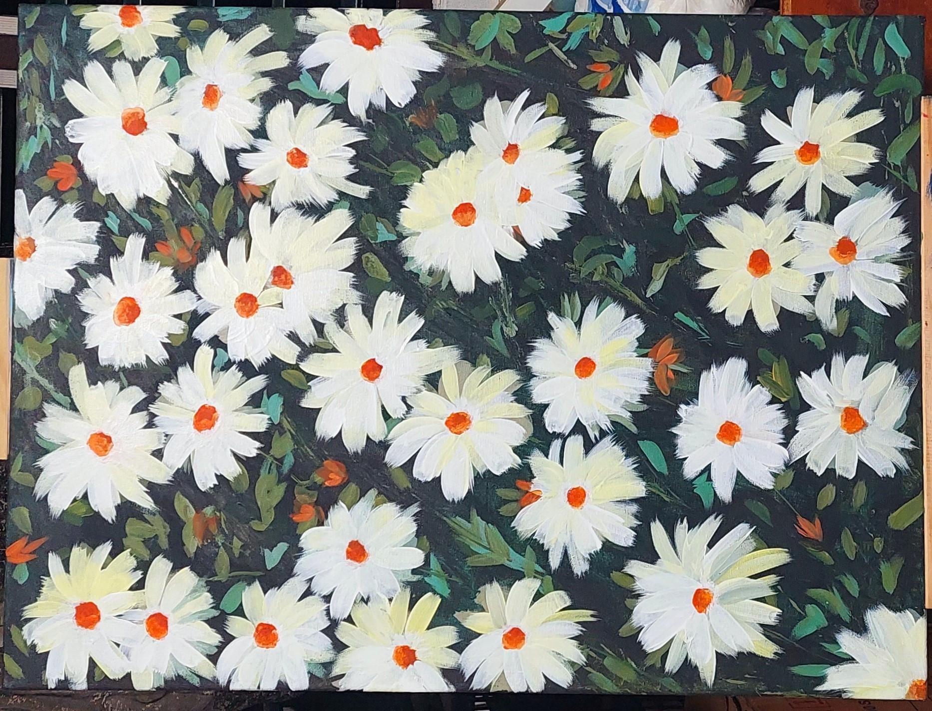 Daisies - student project