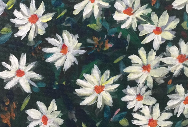 Daisies