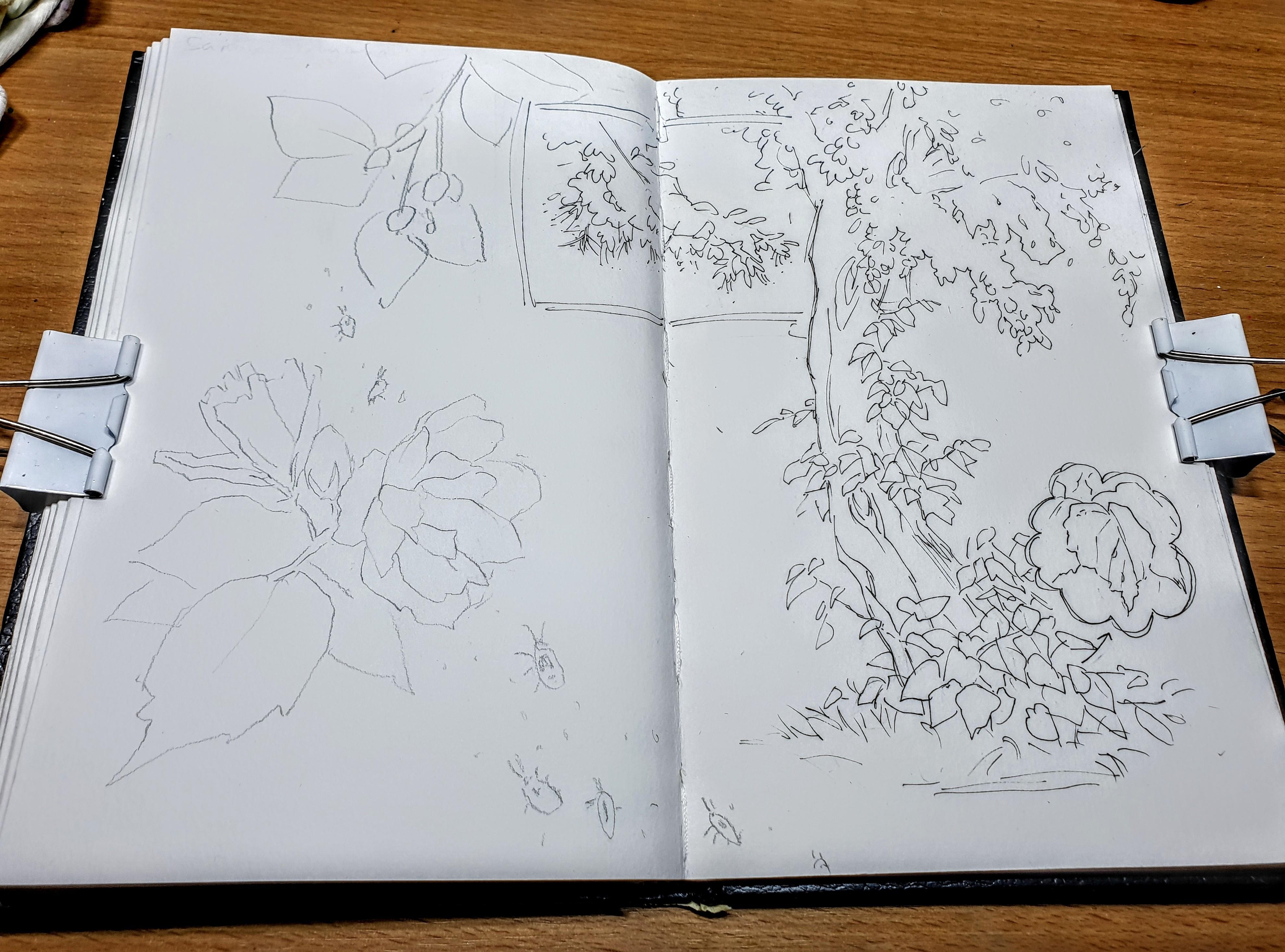 more-projects-from-class-img