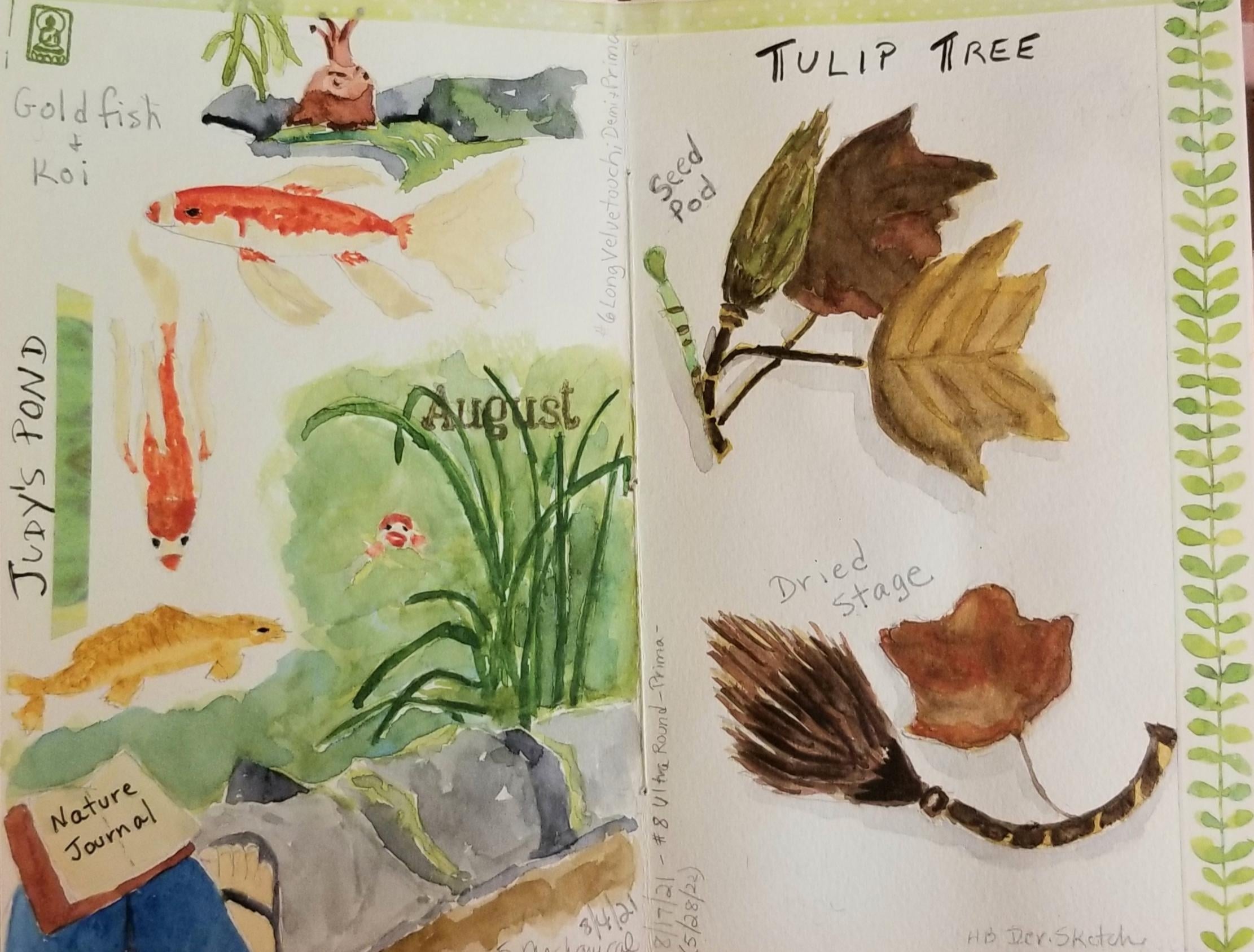 more-projects-from-class-img