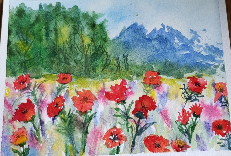 Loose poppies