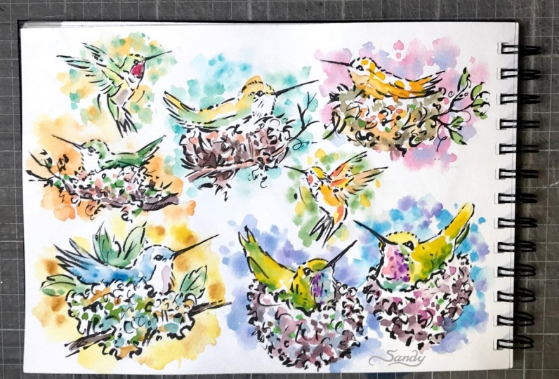 The Hummingbirds are Here!