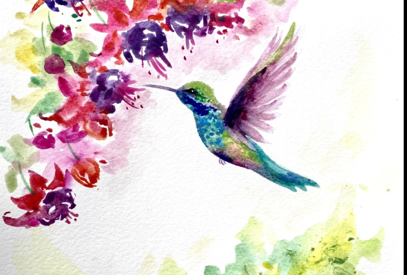 Hummingbird in Watercolor
