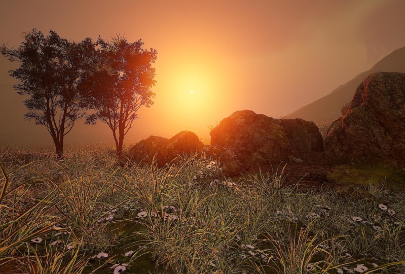 Golden Hour - Landscape Scene