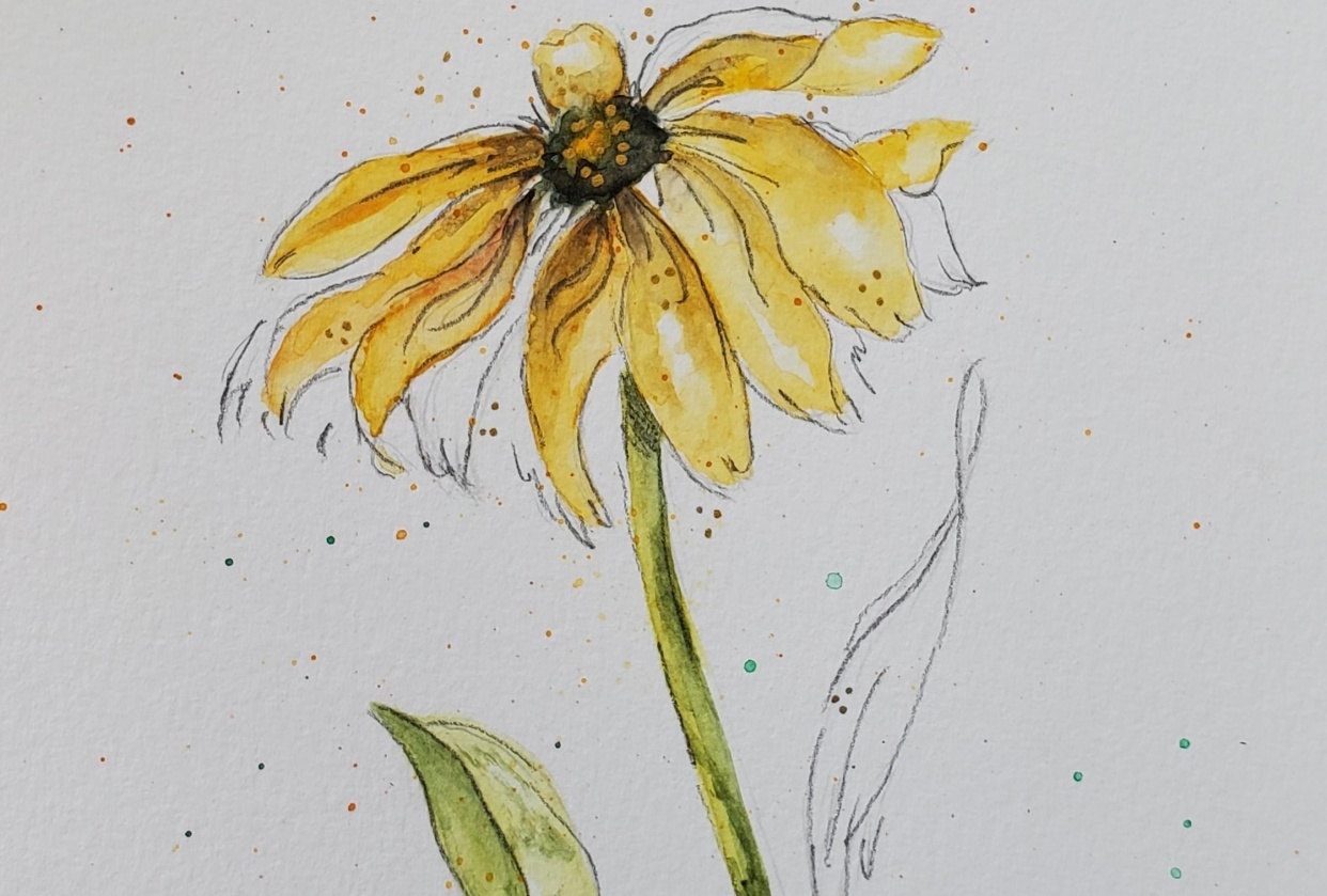 Loose watercolor flowers with graphite - student project