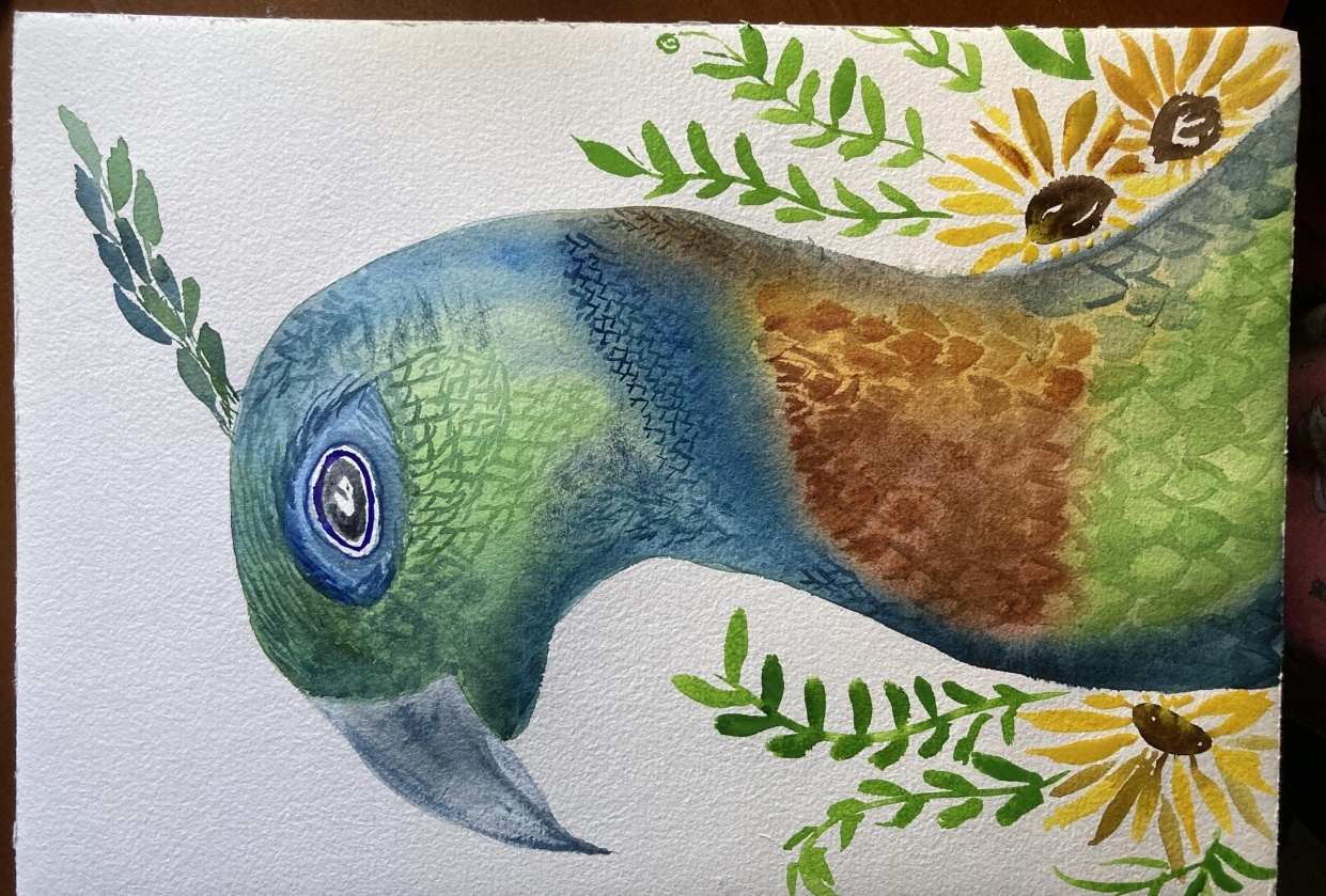 Class project - student project
