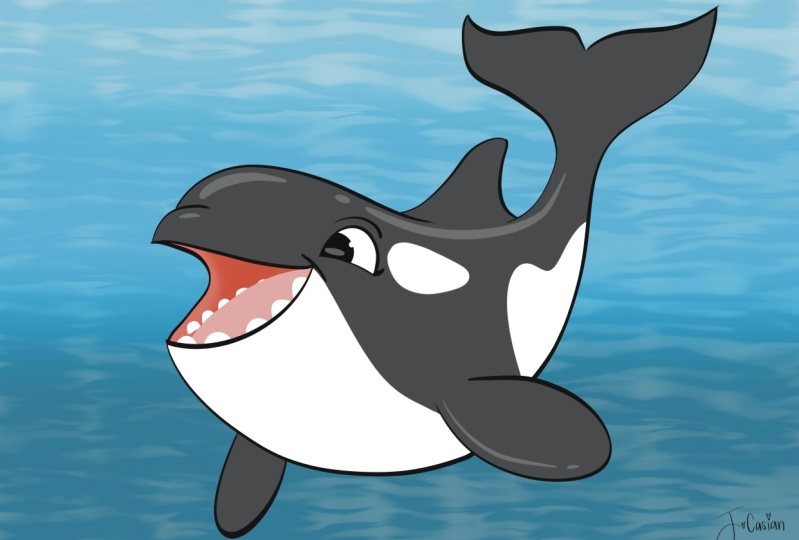 Orca