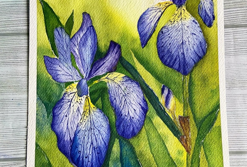 Watercolor Iris by Dhritikana Nath