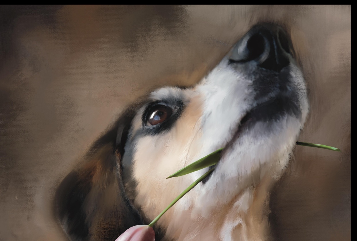 Procreate photo painting - student project