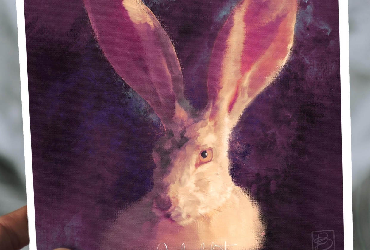 Jackrabbit - student project