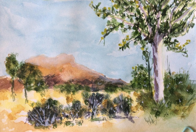 Australian Landscapes