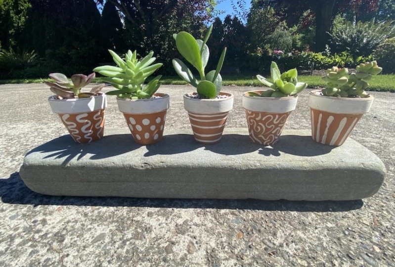 Succulent Table Arrangement