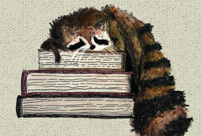 Racoon Bookplate