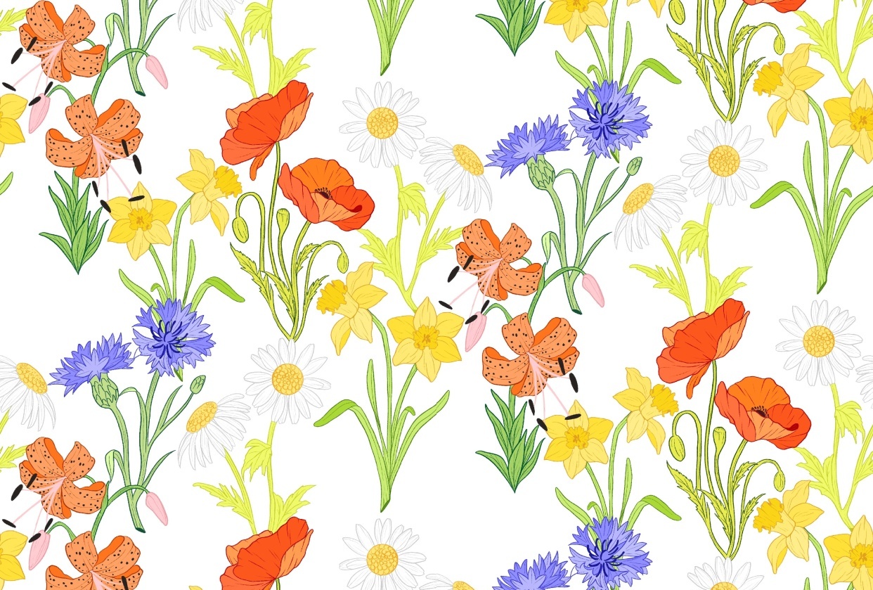 Ilustre flores silvestres com arte de linhas no Procreate | Vinita Upadhya  | Skillshare, image size:1242x839