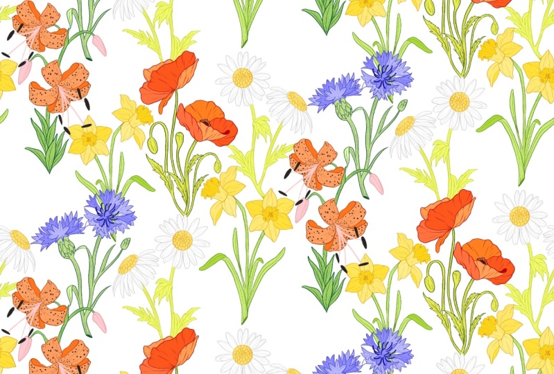 Wildflowers