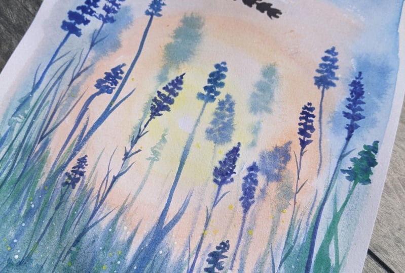 lavender field