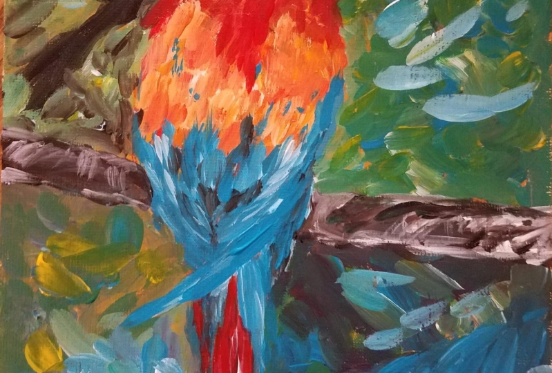 Parrot0705
