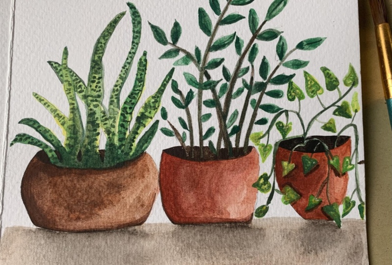 Watercolour Houseplants