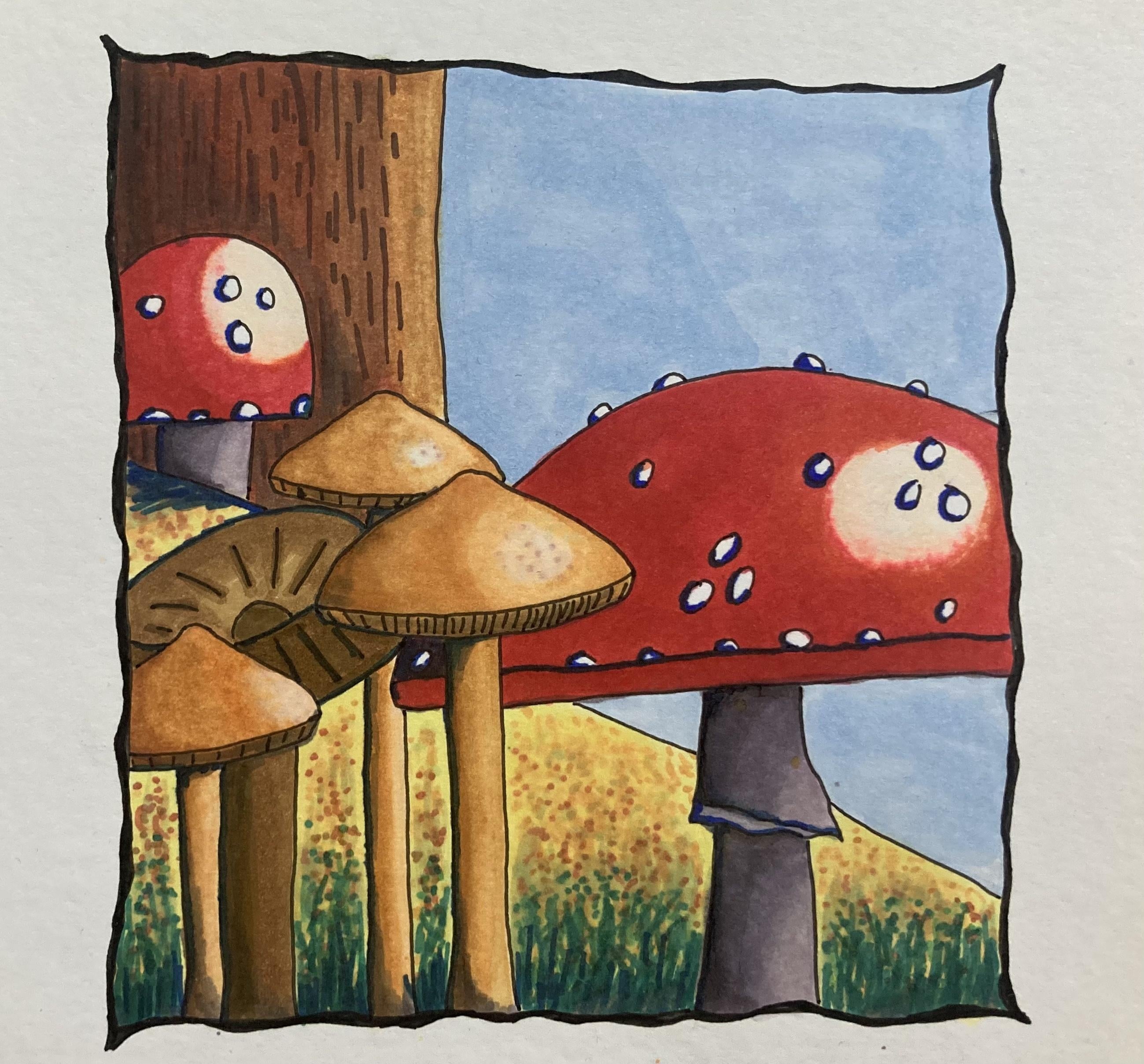 whit markers - student project