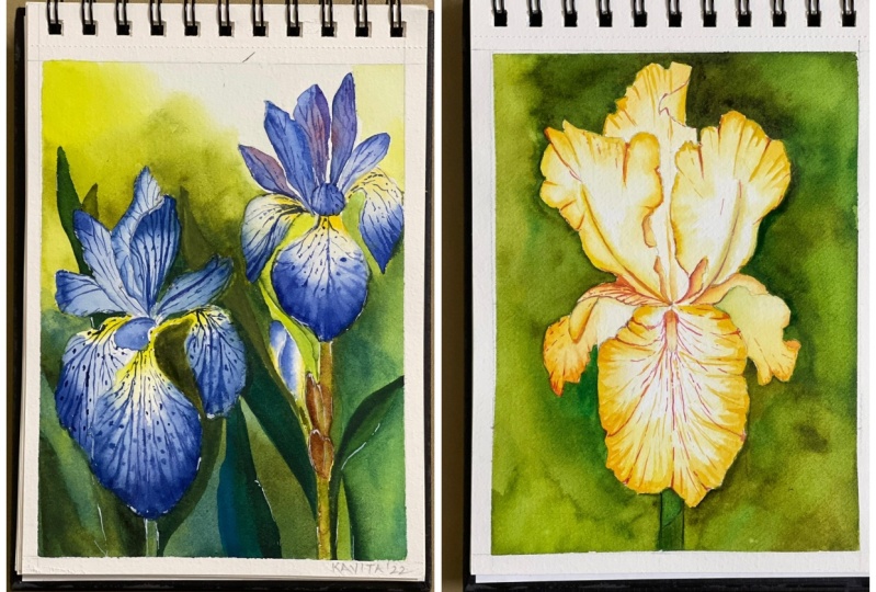 Watercolour iris in two ways by Dhritikana
