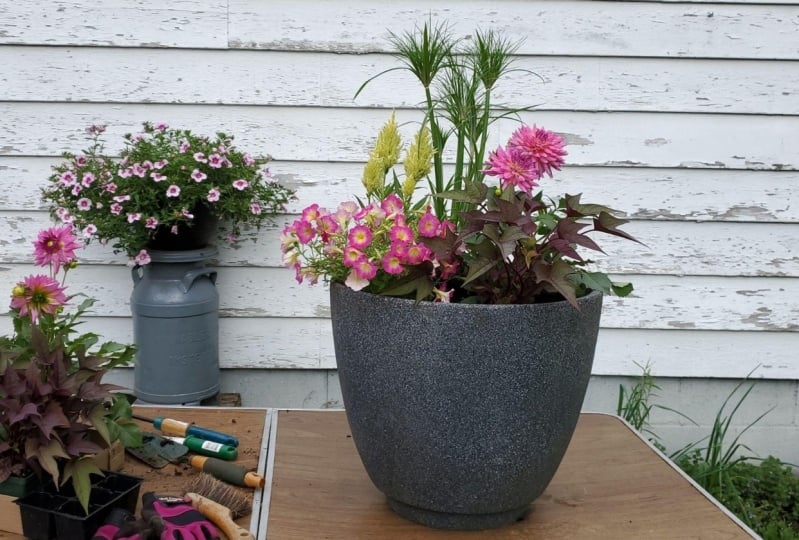 Front Porch Summer Planters