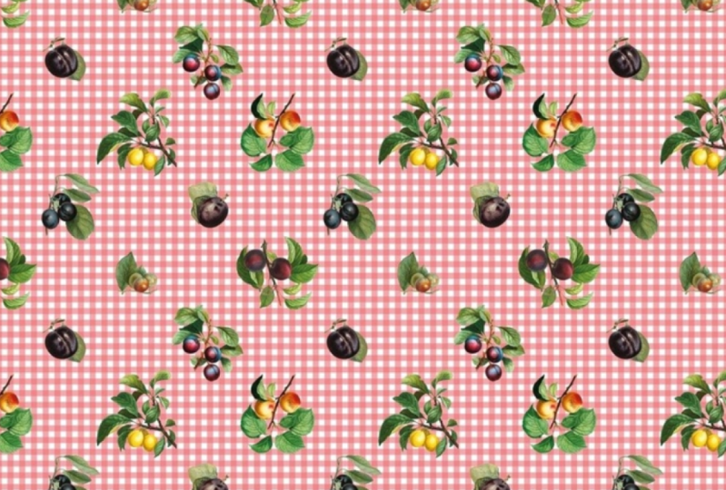 Plums and Apricot Gingham
