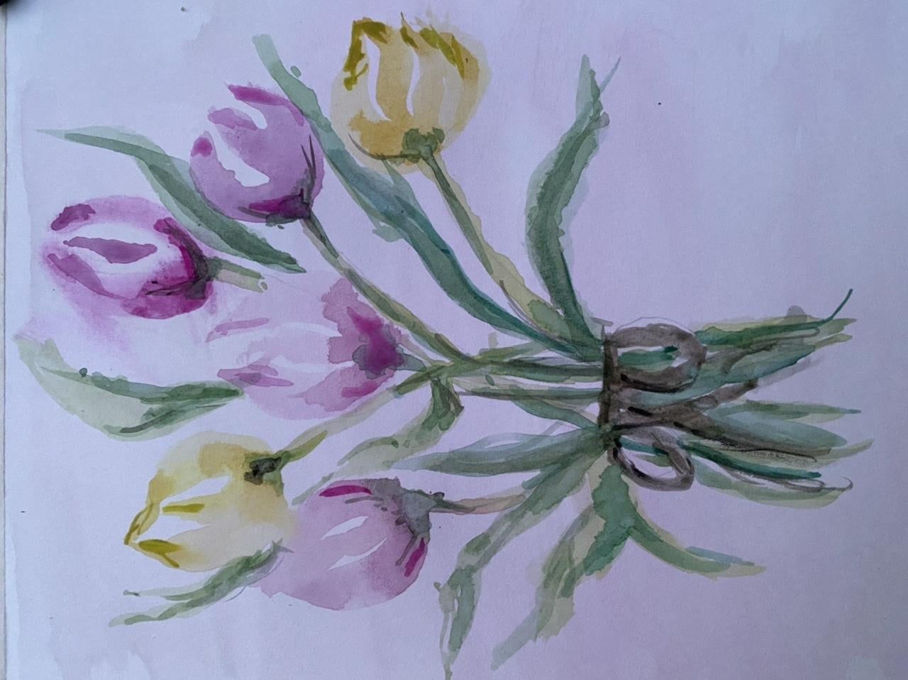 Tulips - student project