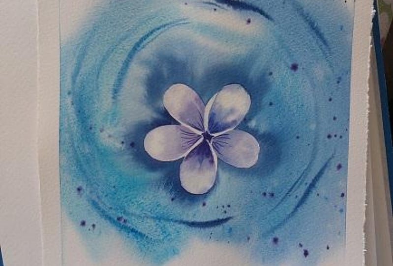 Frangipani