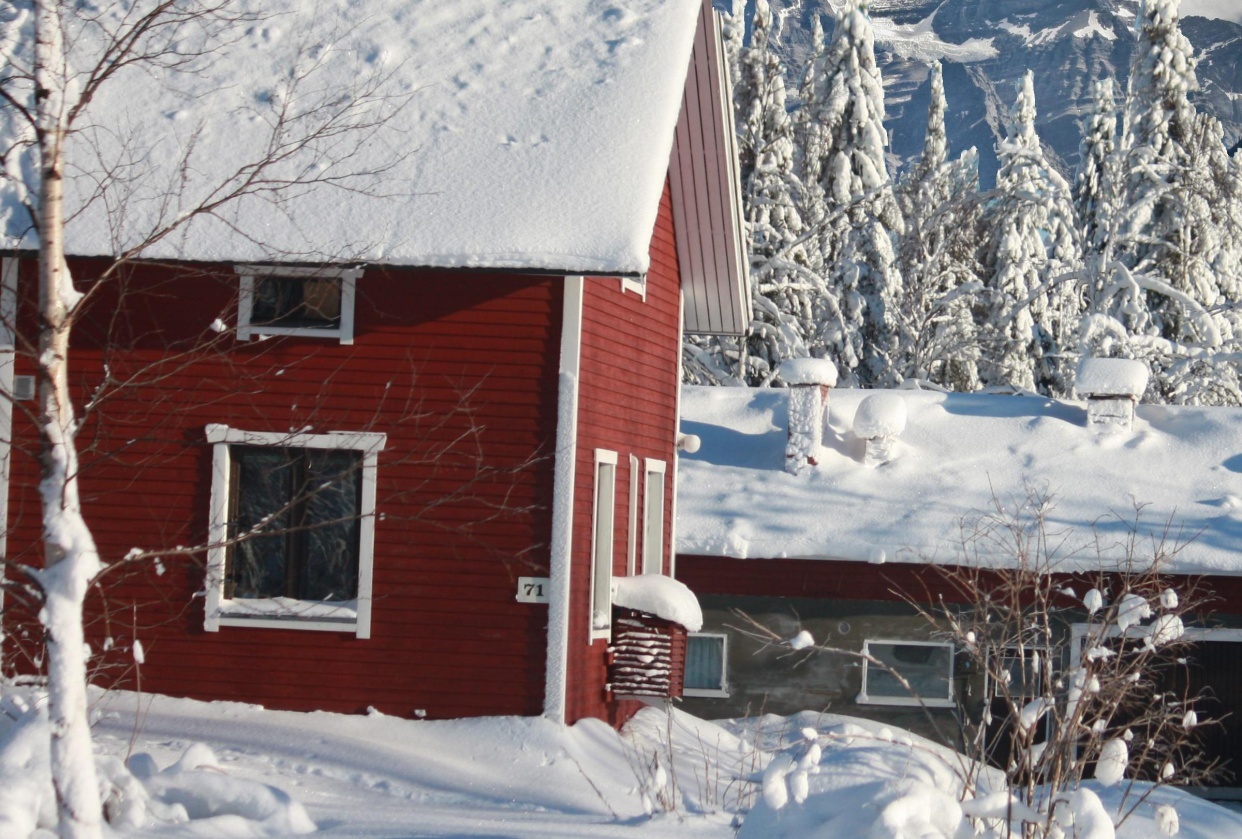 Winter composition - student project