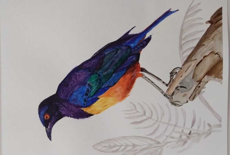 Realistic Bird Painting