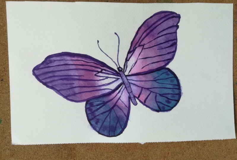 Butterfly