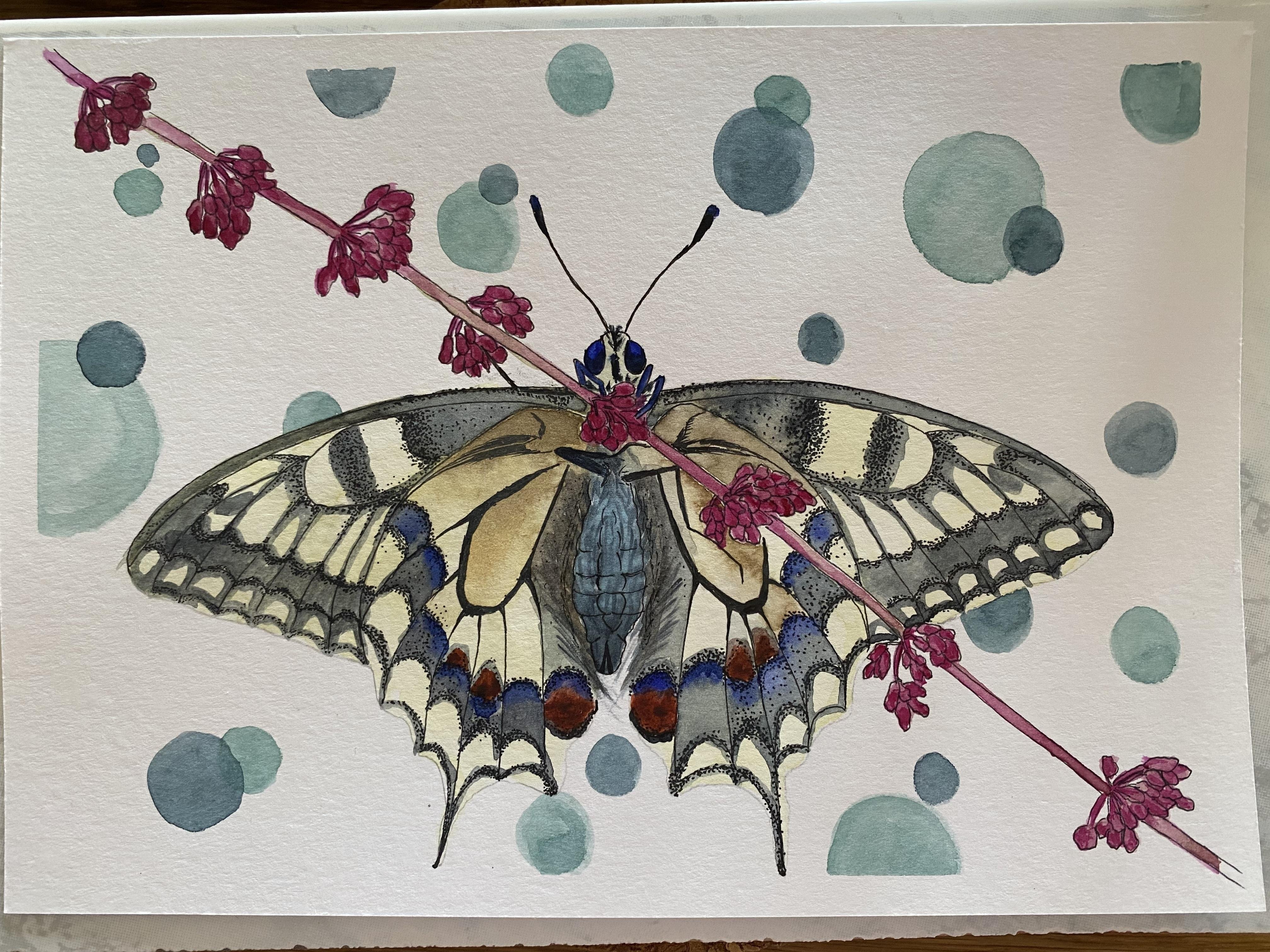 more-projects-from-class-img
