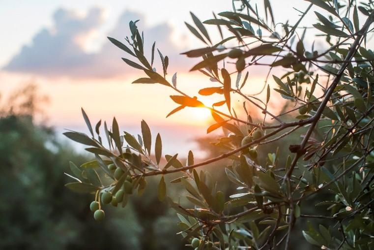 Meditation Journal July '22 - student project